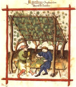 Fabrication_du_verjus_BnF_Latin_9333_fol._83